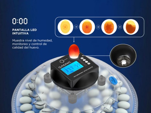 Incubadora de Huevos Gadnic 24 Huevos Temperatura Estable