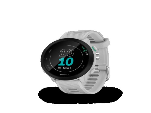 Smartwatch Garmin Forerunner 55 white