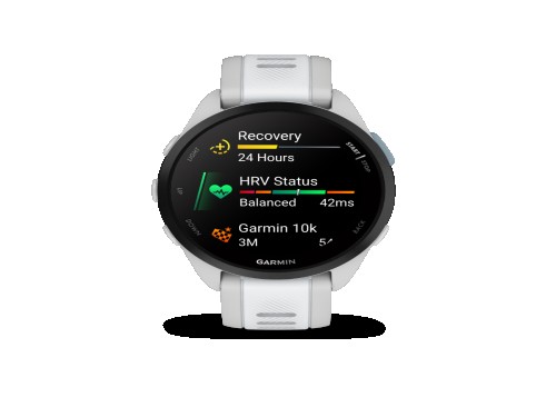 Smartwatch Garmin Forerunner 165 Mist Grey/Whitestone