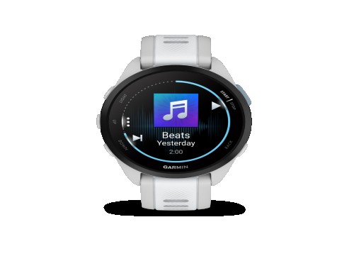 Smartwatch Garmin Forerunner 165 Mist Grey/Whitestone