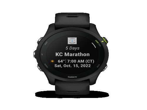 Smartwatch Garmin Forerunner 255 Music Black