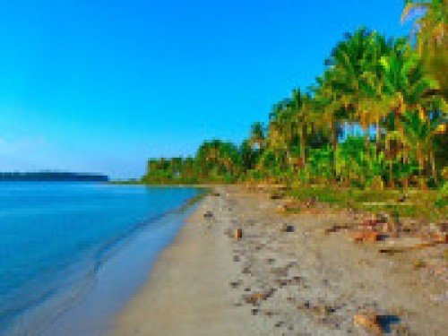 ¡40% off! Costa Rica Mágica con extensión a Bocas del Toro