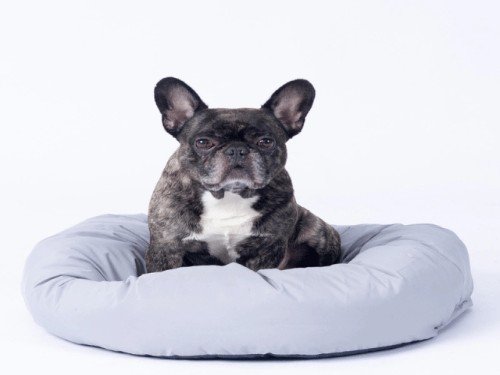 ComfyBambu™ - Cama Perro Gato Relajante Anti Estrés Fresca ComfyPetys