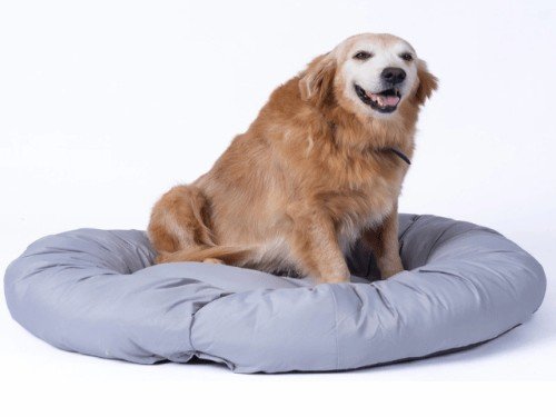 ComfyBambu™ - Cama Perro Gato Relajante Anti Estrés Fresca ComfyPetys