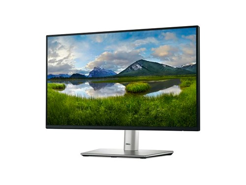 Dell 22 Monitor P2225h Fhd 1920x1080