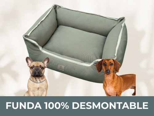 Cama Perro Funda 100% Desmontable Lavable Moises Con Cierre 50x60 cm