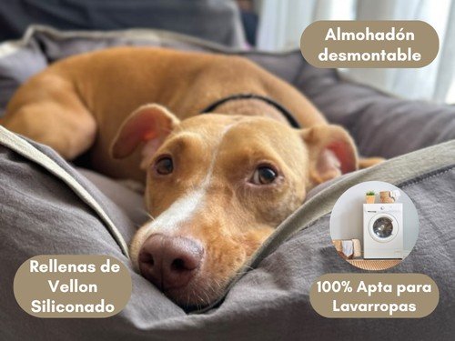 Moises Perro Cama Grande Premium Antistress Lavable Verano de Tusor