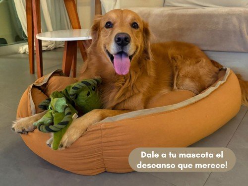 Moises Perro Cama Grande Premium Antistress Lavable Verano de Tusor