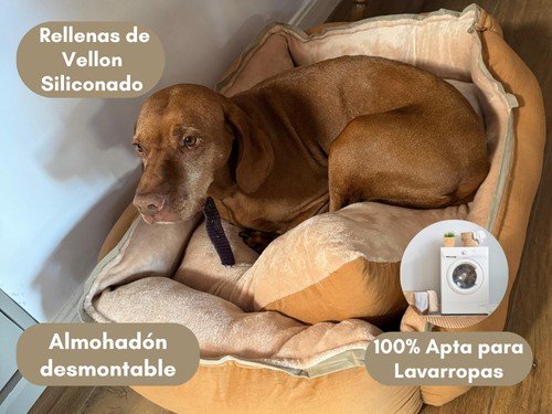 Moises Perro Cama Grande Premium Antistress Lavable Tusor y Corderito