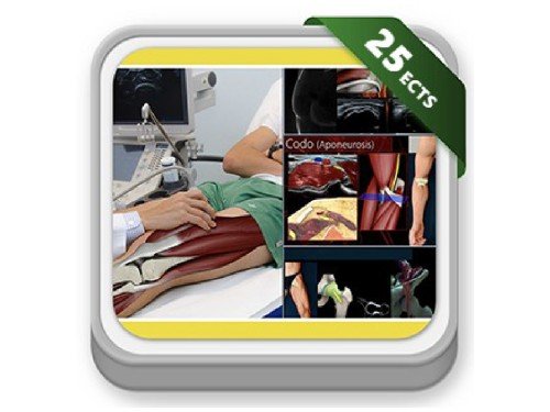 Curso 100% online - Experto en Ecografía Musculoesquelética