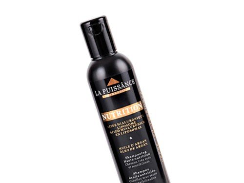 La Puissance Nutrition Shampoo De Argan Cabello Seco X 300ml