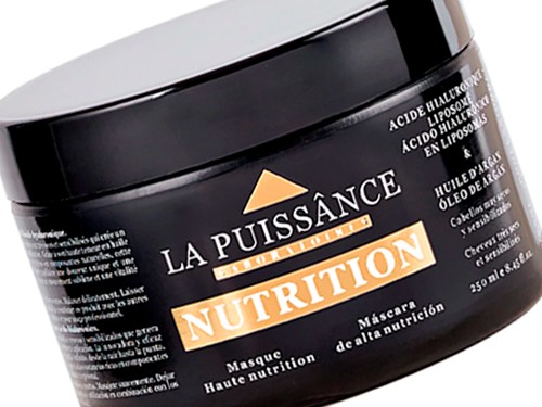 La Puissance Nutrition Máscara Argan Cabello Seco X 250ml