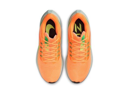 Zapatillas Nike Pegasus 39