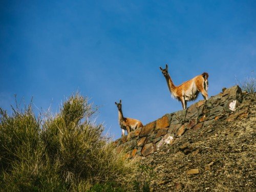 Andes Truck - Villavicencio