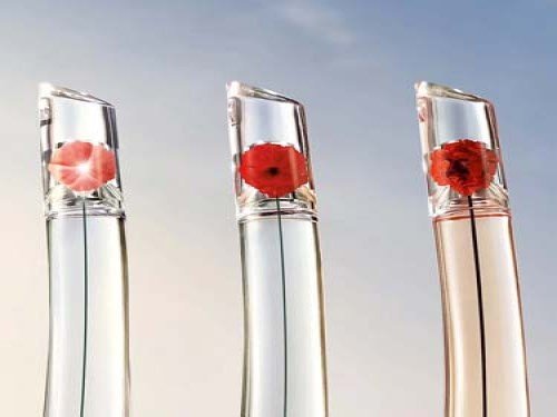 FBK L ABSOLUTE EDP 50ML