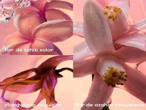 OLYMPEA SOLAR EDP INTENSE 80ML