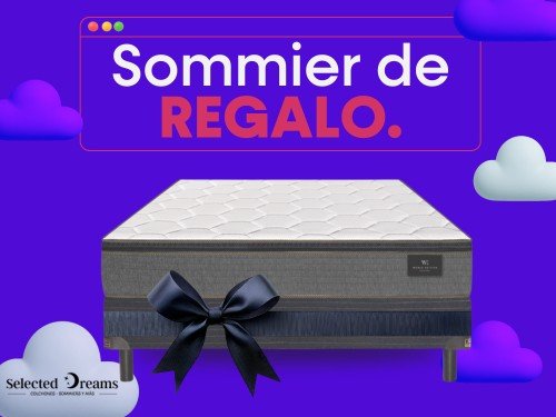 Conjunto 2 Plazas King Koil Finesse