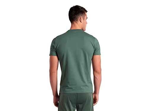 Remera arena Team 655