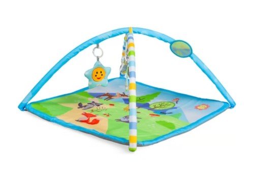 Gimnasio Actividades Cuadrado Celeste – Animales 5010-CJ