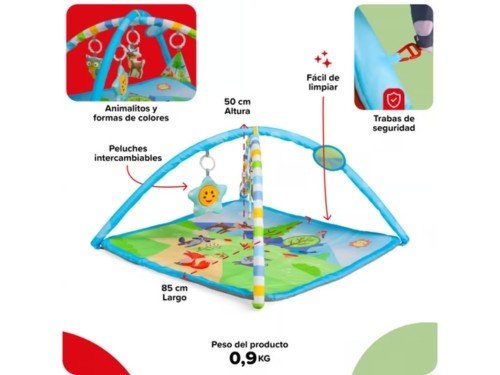 Gimnasio Actividades Cuadrado Celeste – Animales 5010-CJ