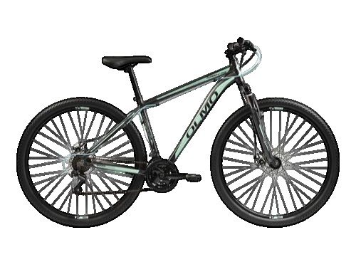 Bicicleta Olmo Wish 290 Negro Y Verde Rodado 29 Talle 20