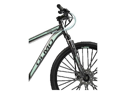 Bicicleta Olmo Wish 290 Negro Y Verde Rodado 29 Talle 20