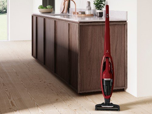 Aspiradora Inalámbrica Electrolux Ergorápido ERG36 2en1