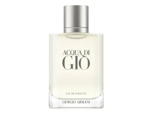 PERFUME IMPORTADO ACQUA DI GIO EDT 100 ML ARMANI