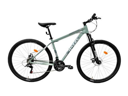Bicicleta MTB Razel R2 Rodado 29 Talle 20 gris