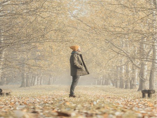 Campera Saco Lapón P Cacique De Gabardina Abrigo Calidad Premium