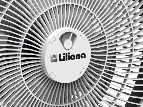 Turbo Ventilador VTC12 Liliana