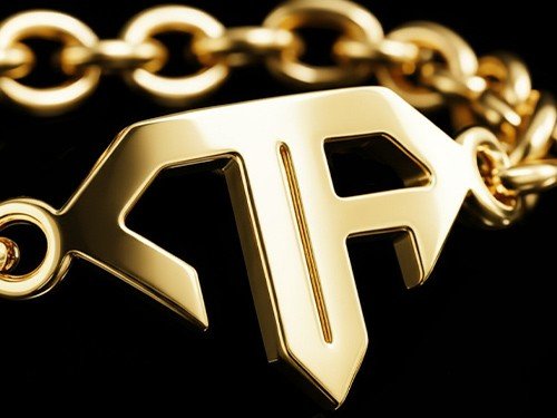 Pulsera DR Acero 800 Bañada en Oro