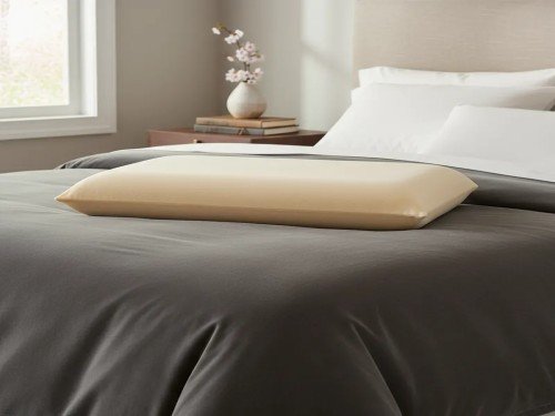 Almohada Springwall Dreams Memory Nova 060x040