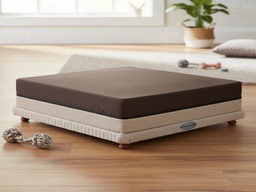 Cama Pet Bed Springwall Sommier Colchón Resortes Perro 076x100