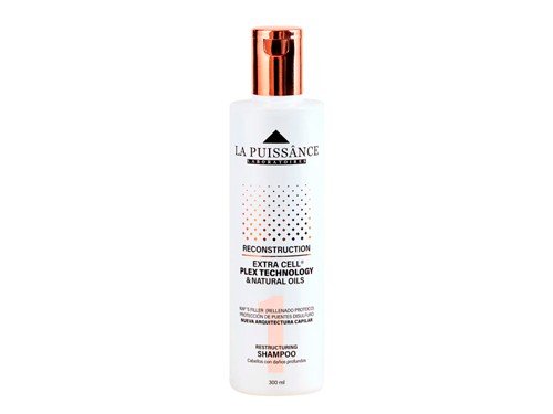 La Puissance Kit Extra Cell Plex Paso 1 + 2 Cabello Dañado