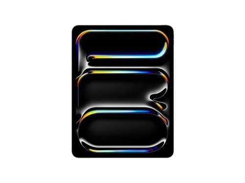 iPad Pro 13 M4 WiFi 256 GB - Negro Espacial
