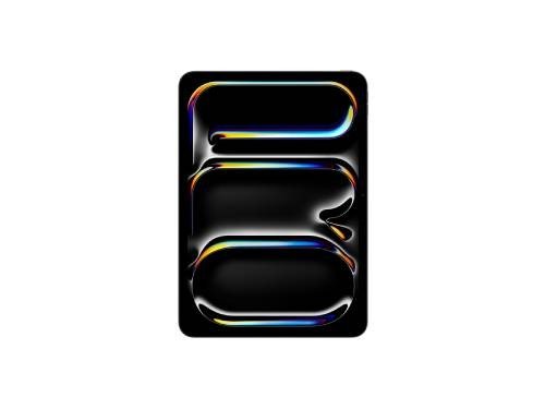 iPad Pro 11 M4 WiFi 512 GB - Negro Espacial