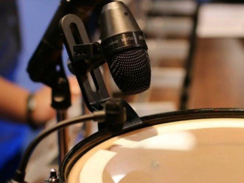 Micrófono Dinámico Shure PGA56 Cardioide Para Percusión