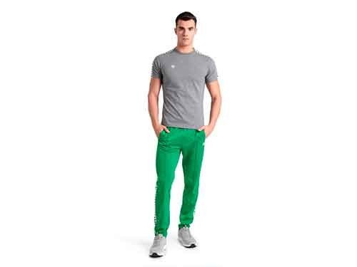 Remera arena Team 552