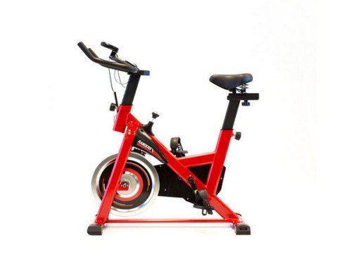 BICICLETA SPINNING RANDERS ARG 845 SP DISCO 6KG