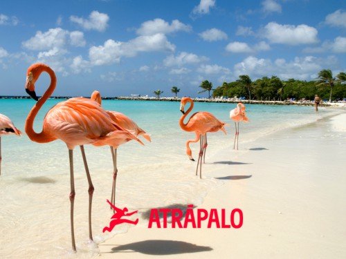 Paquete a Aruba con Desayuno - Atrápalo