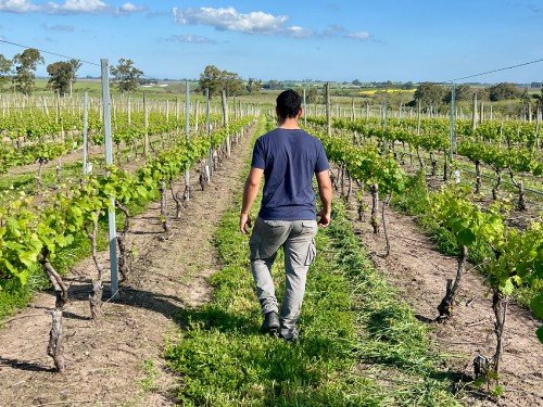 Day Tour Los Cerros de San Juan