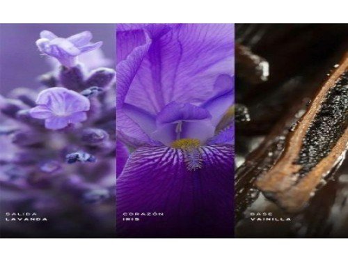 LATTAFA MEN AZAD ZANSIBAR Edp x 100ml