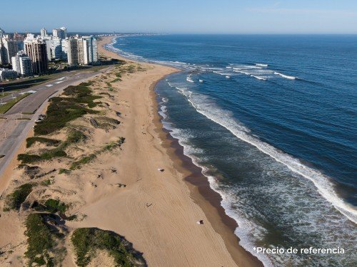 Pasajes a Colonia 50% off (ida y vuelta)