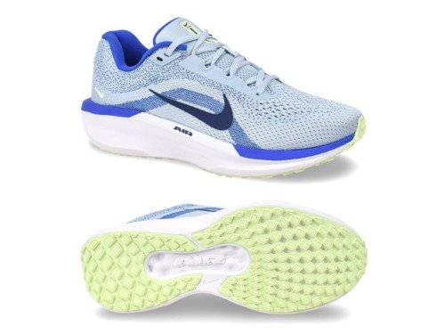 Zapatilla Nike Winflo 11