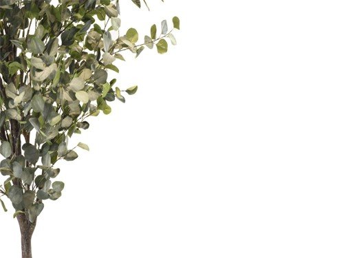 Planta artificial Eucalipto premium ultra real