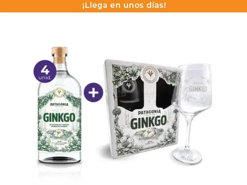 Pack: 4 Gin Ginkgo + 2 Copas