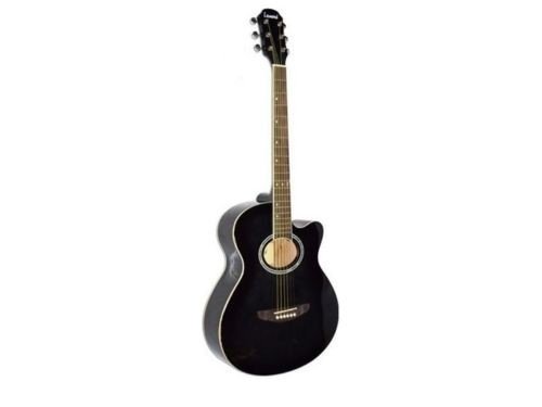 LEONARD LA262 Guitarra electroacustica microfono 5 bandas cuotas