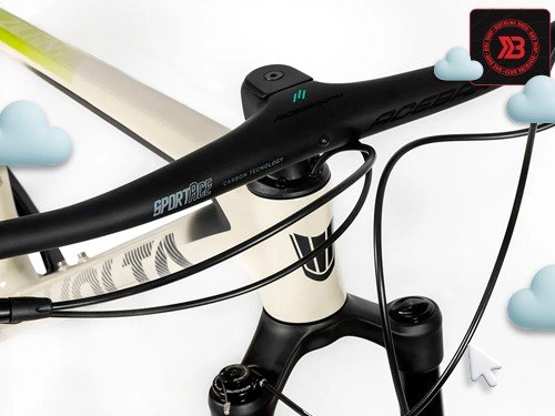 BICICLETA VOLTA ZILANT RACE RODADO 29 SHIMANO DEORE 1x12 CUBIERTAS TUB