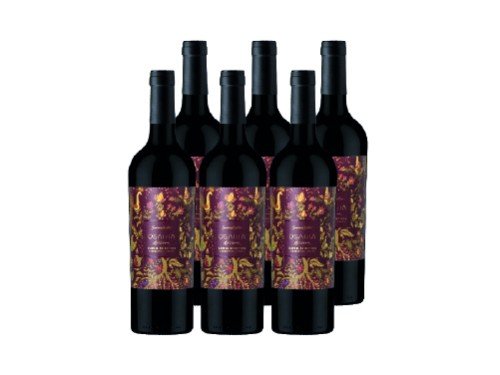 Vino Tinto Osadía de Crear B.S. Cabernet Sauvignon - 6x750ml
